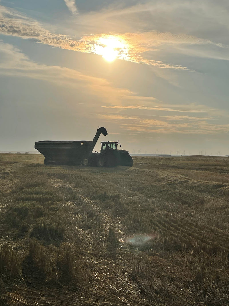 How Anthem Oats is Improving Soil Health