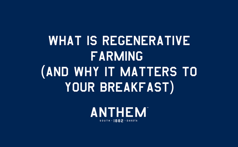 What Is Regenerative Farming (And Why It Matters to Your Breakfast)