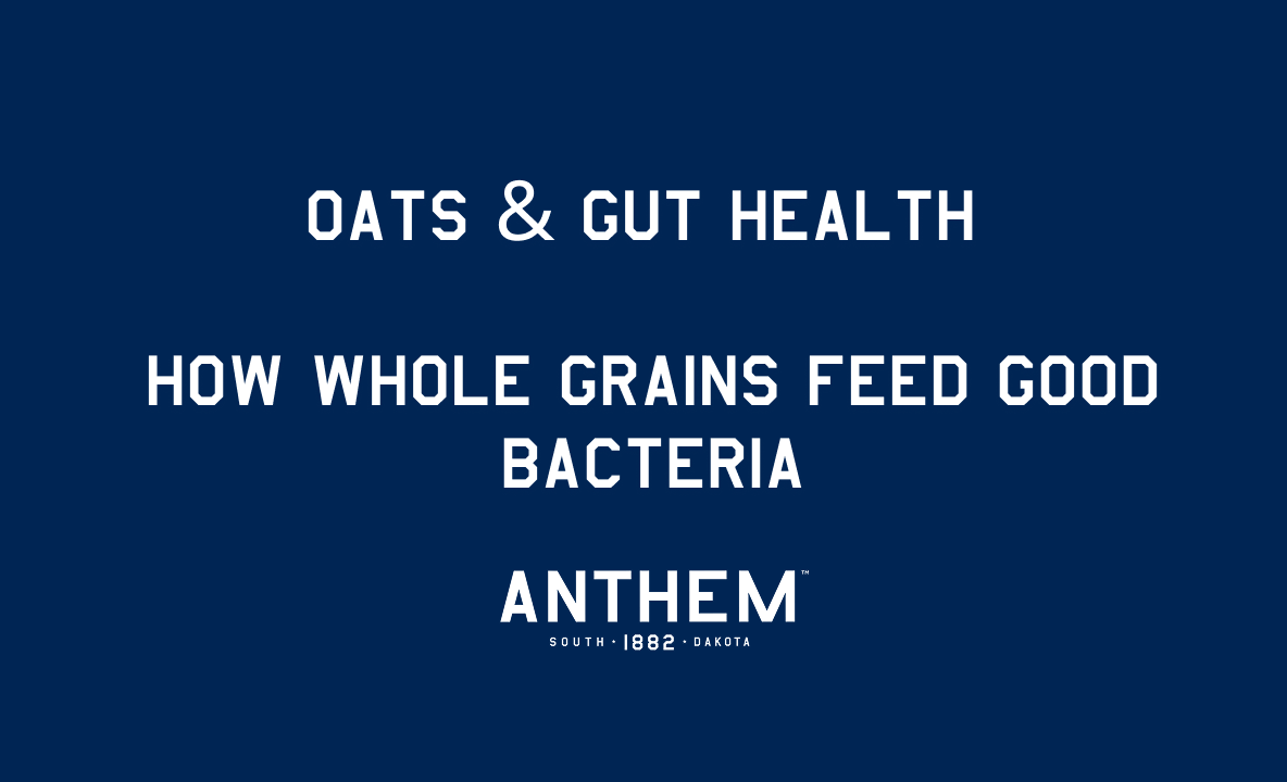 Oats & Gut Health: How Whole Grains Feed Good Bacteria