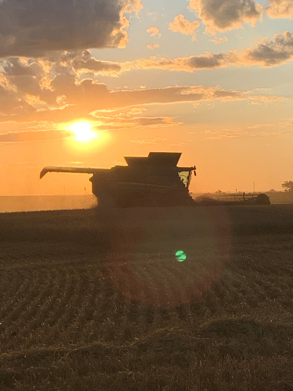 Why Locally Sourced Oats Matter