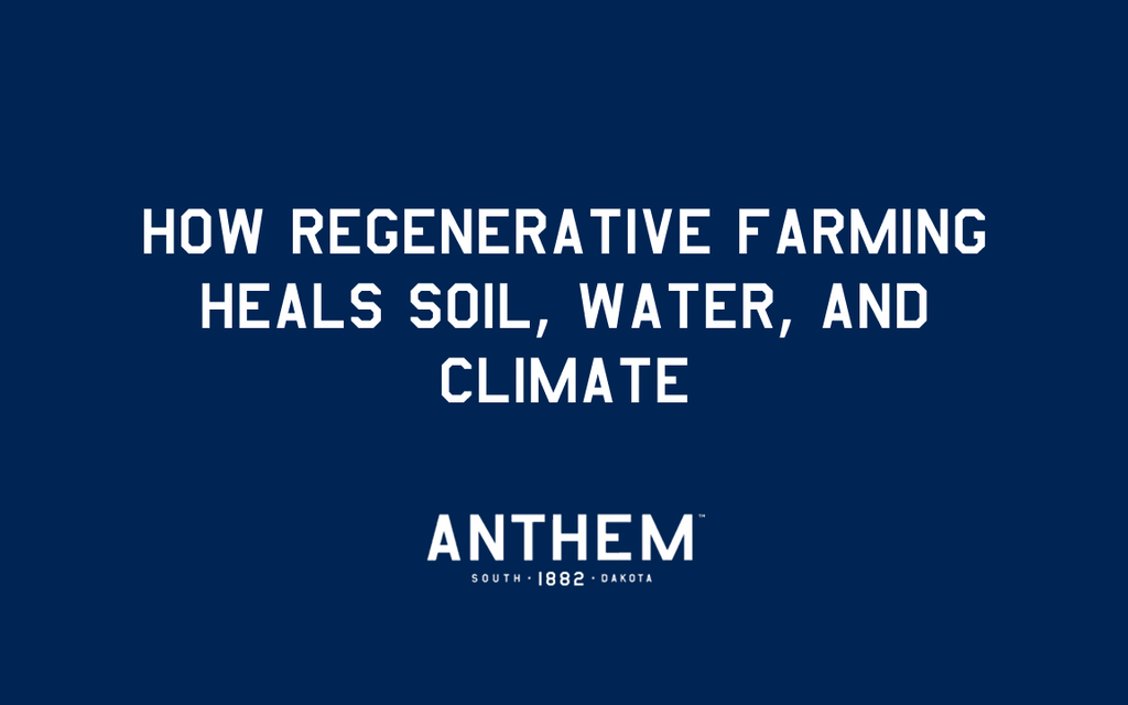 How Regenerative Farming Heals Soil, Water, and Climate
