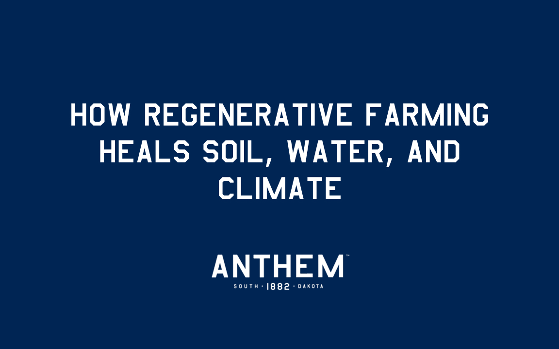 How Regenerative Farming Heals Soil, Water, and Climate