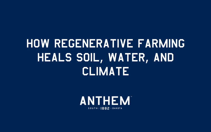 How Regenerative Farming Heals Soil, Water, and Climate