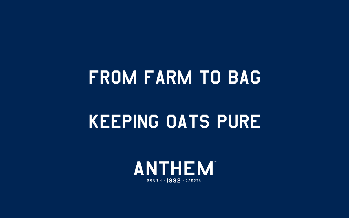 From Farm to Bag: Keeping Oats Pure