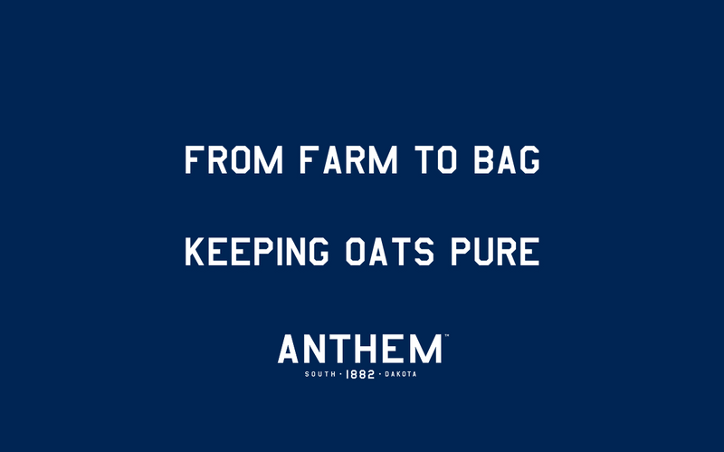 From Farm to Bag: Keeping Oats Pure