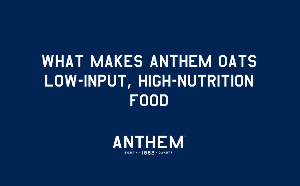 What Makes Anthem Oats Low-Input, High-Nutrition Food