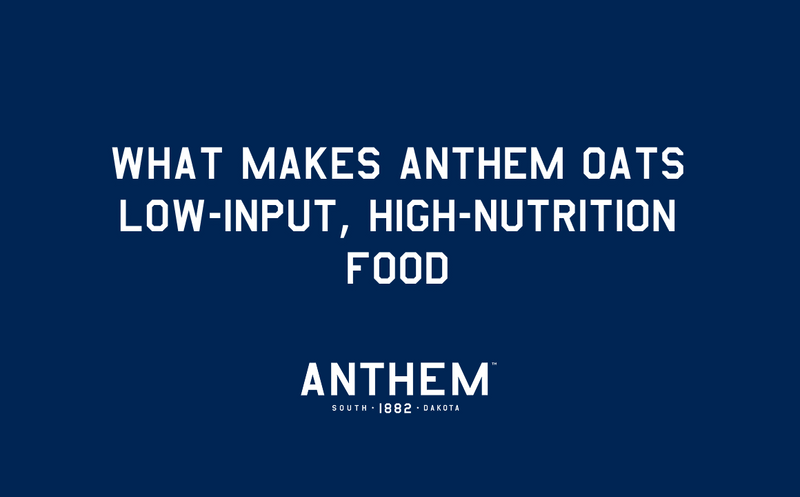 What Makes Anthem Oats Low-Input, High-Nutrition Food