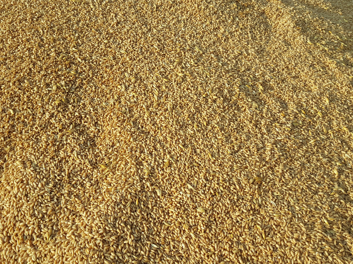 The Best Time of Day to Eat Oats for Energy & Satiety